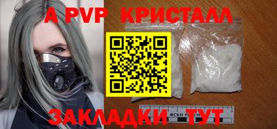шишки Кимры