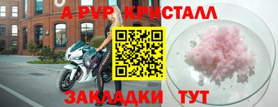 шишки Кимры