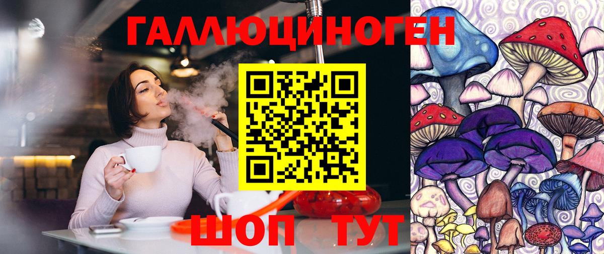 Кудымкар  Псилоцибиновые грибы Psilocybe  Вход с VPN 
